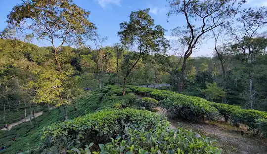 Sylhet_Spots (4)